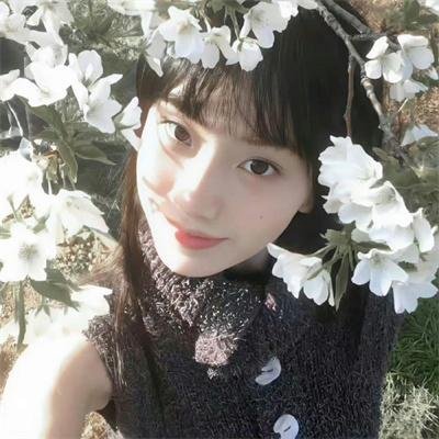齐格菲歌舞团